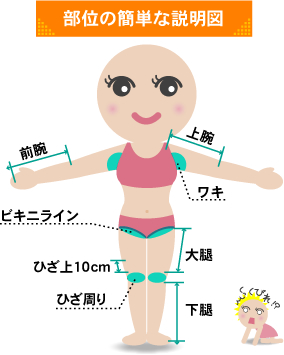 ���ʂ̊ȒP�Ȑ����}